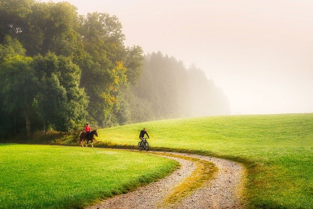 Jste nadšený cyklista? Vyzkoušejte vinařské cyklostezky Morava